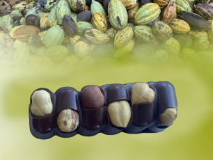 image_site_barre_1570905688