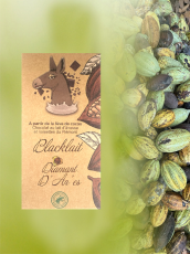 visuel_packaging_site