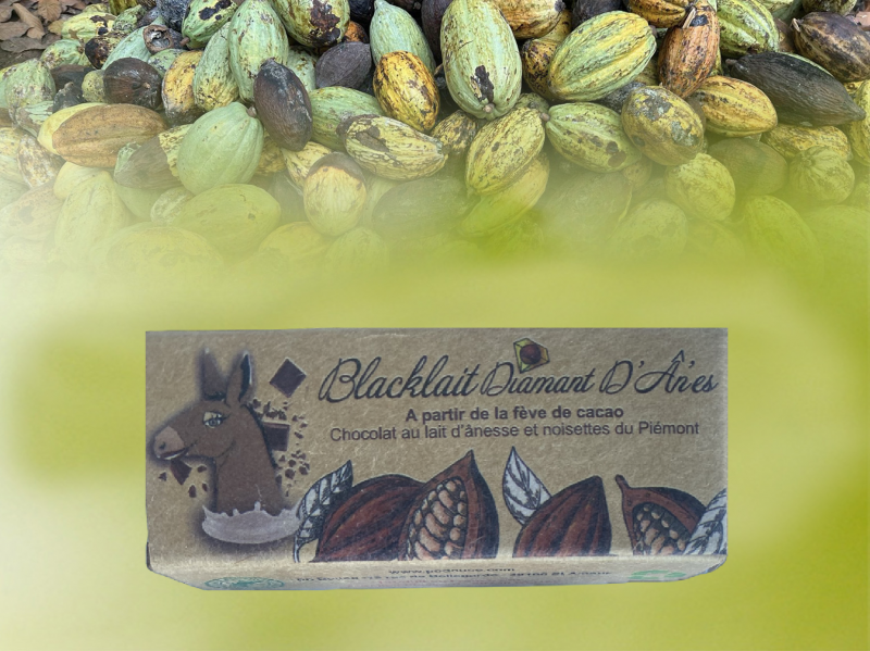 boite_site_258718537