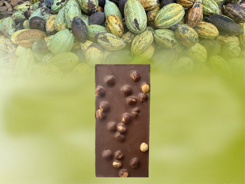 visuel_site_dos_tablette