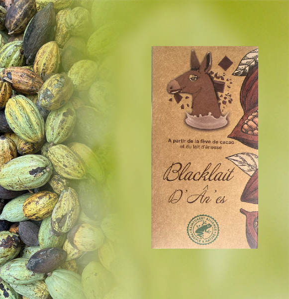 visuel_tablette_site_1509679329